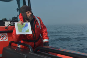 Croisière aux baleines avec Essipit