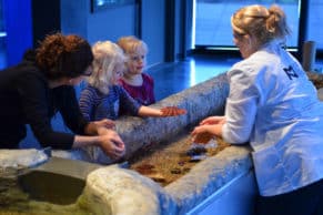 Musée du Fjord Aquarium du Fjord © Étienne Boucher-Cazabon