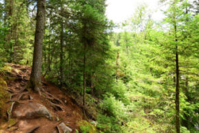 Parc Le Trou de la Fée