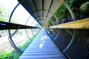 Promenade sur les ponts du Parc du trou de la fée - Photo David Rowsome