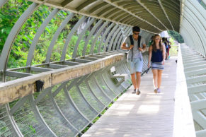 Promenade sur les ponts du Parc du trou de la fée - Photo David Rowsome