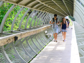 Promenade sur les ponts du Parc du trou de la fée - Photo David Rowsome