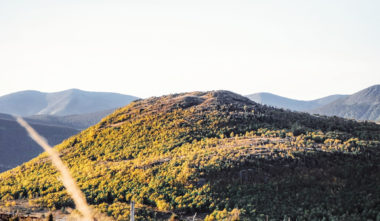 © Phil Plante / Unsplash