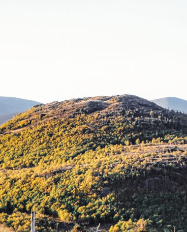 © Phil Plante / Unsplash