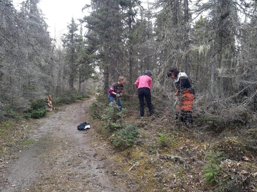 ramassage des déchets par le public