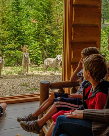 Chalets des loups au Parc Oméga