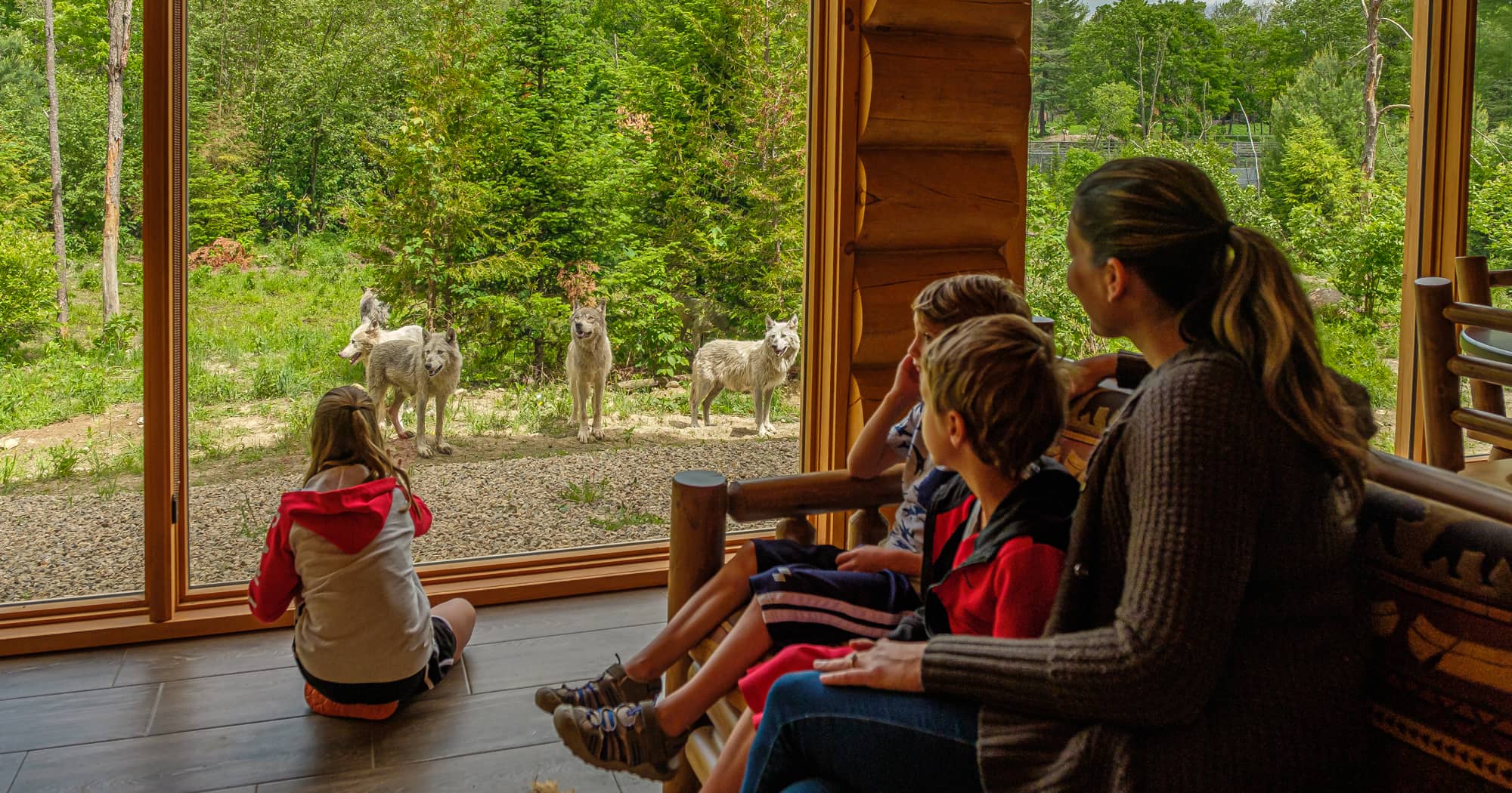 Chalets des loups au Parc Oméga