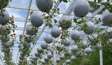 Un des jardins du Festival International aux Jardins de Métis - Une activité en famille à faire en Gaspésie - Photo K. Binon