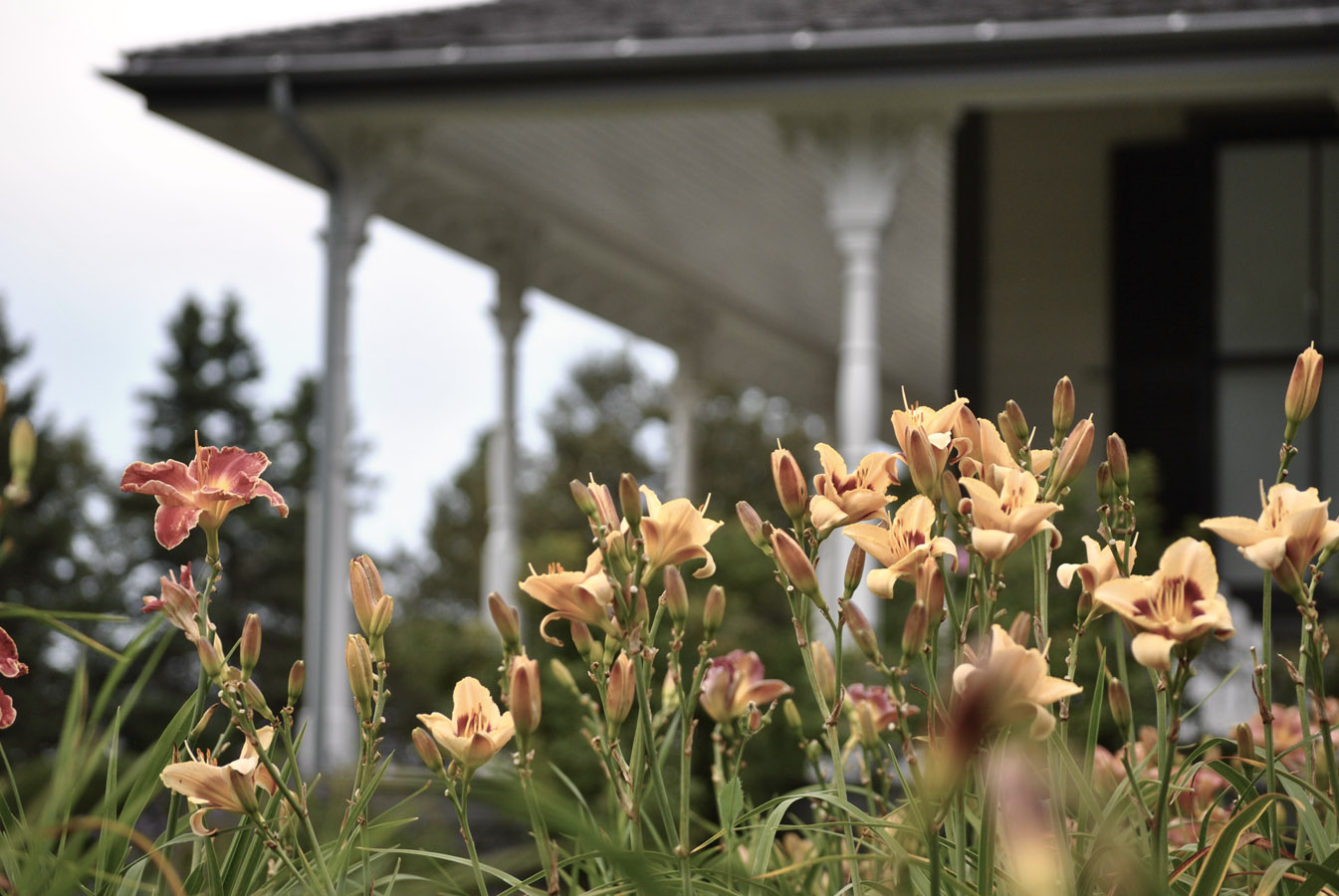Promenade dans les Jardins de Métis en Gaspésie - Photo Charlotte Garneau