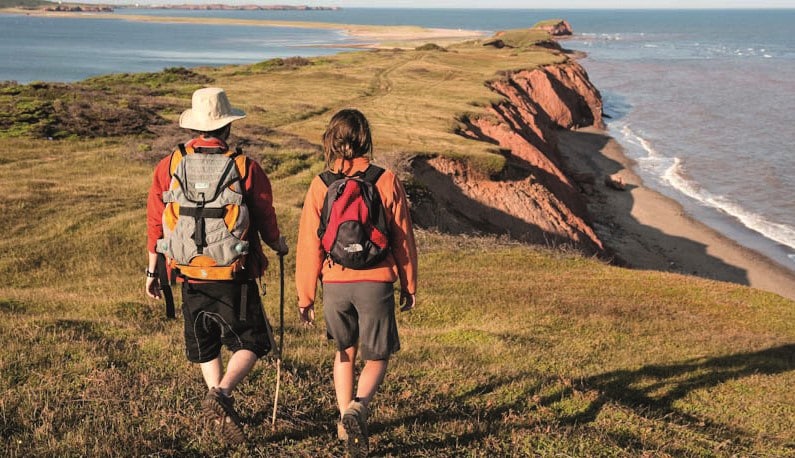 Photo © La Salicorne