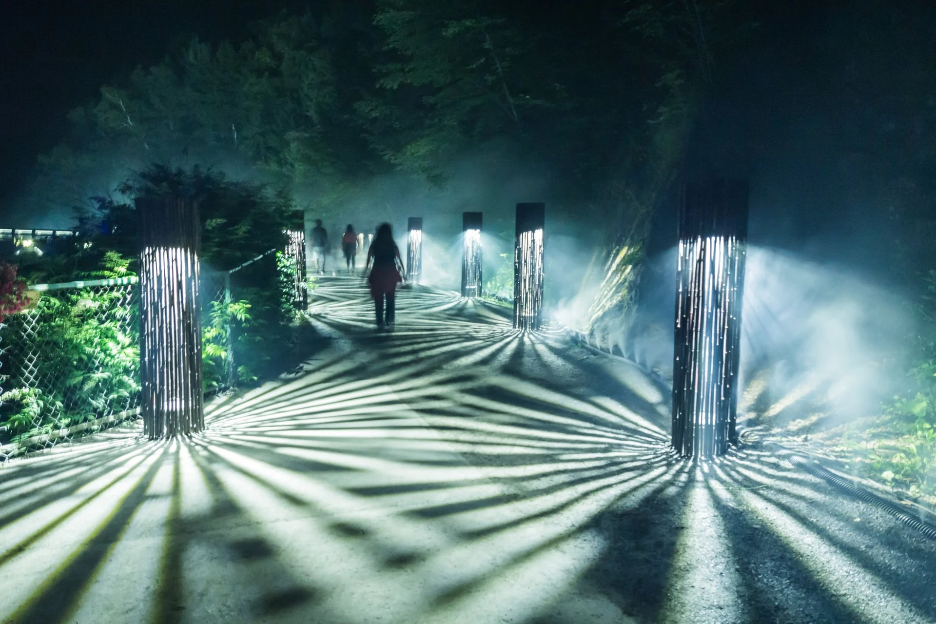 Foresta Lumina