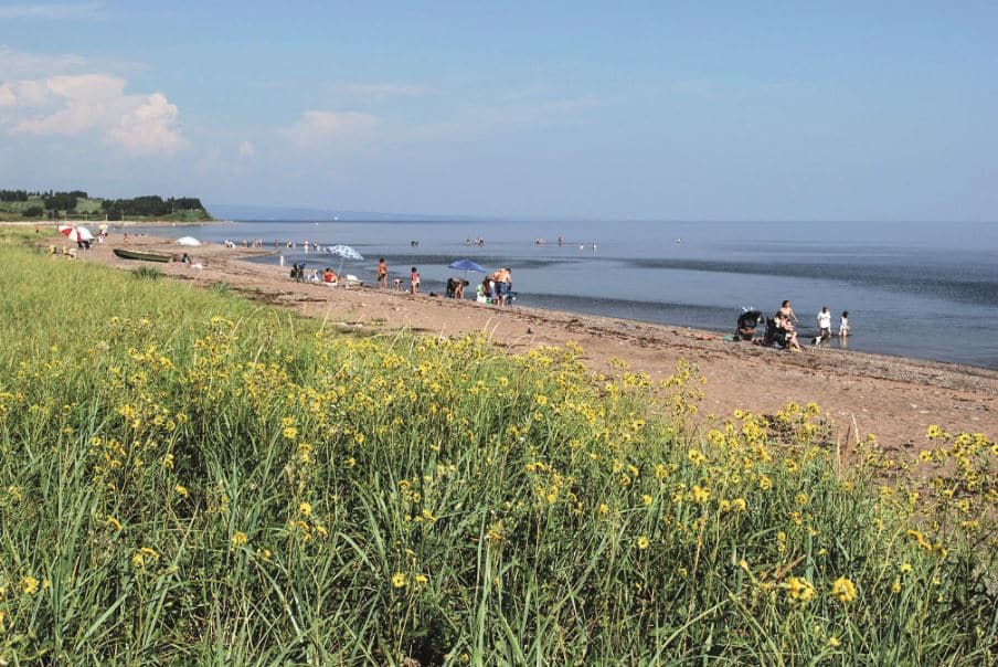 Camping de Carleton-sur-Mer : Touriste sur la plage