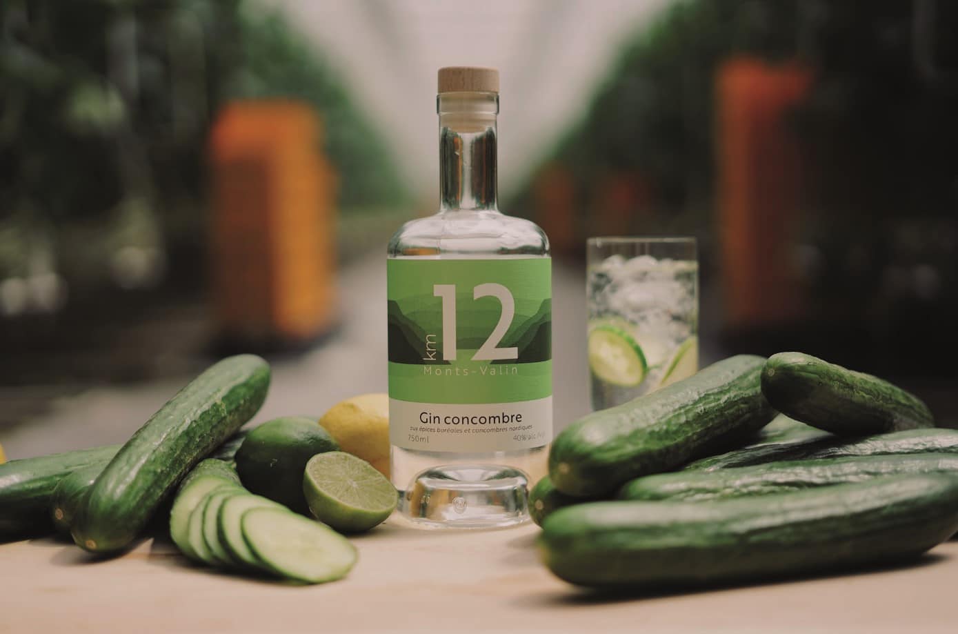 © Distillerie du Fjord : bouteille de gin concombre des Hants-Valan