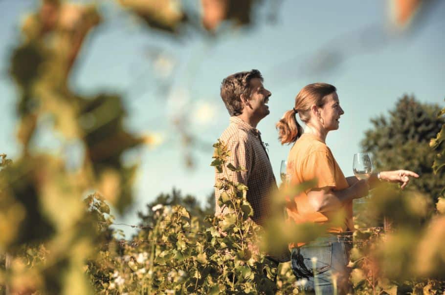 © Les Pervenches : les deux gérants du domaine au milieu de leur vigne