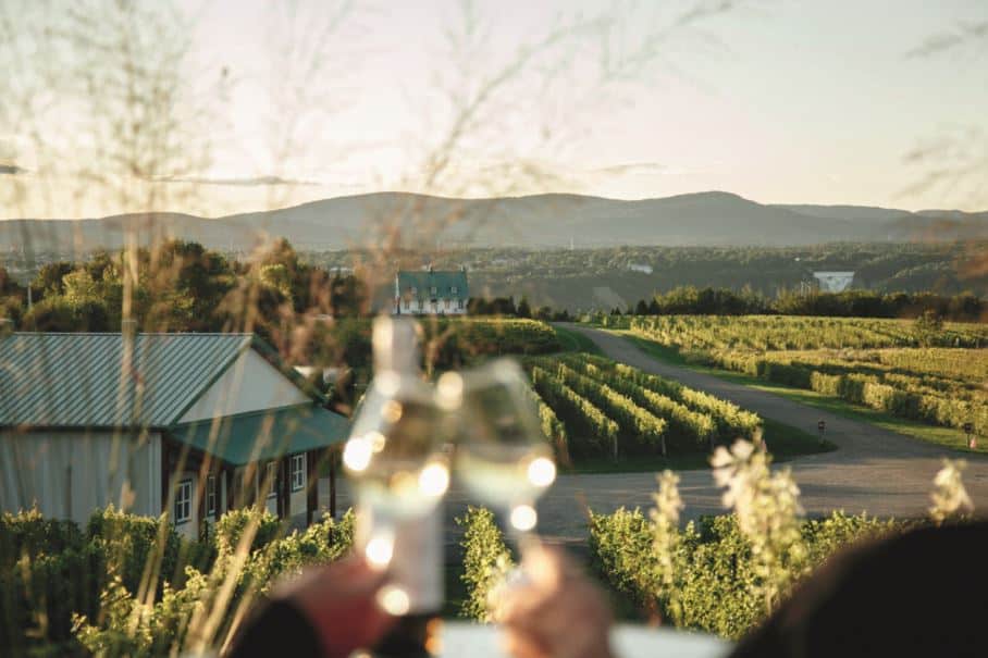 © Vignoble Ste-Pétronille : vue sur les villes de Sainte-Pétronille