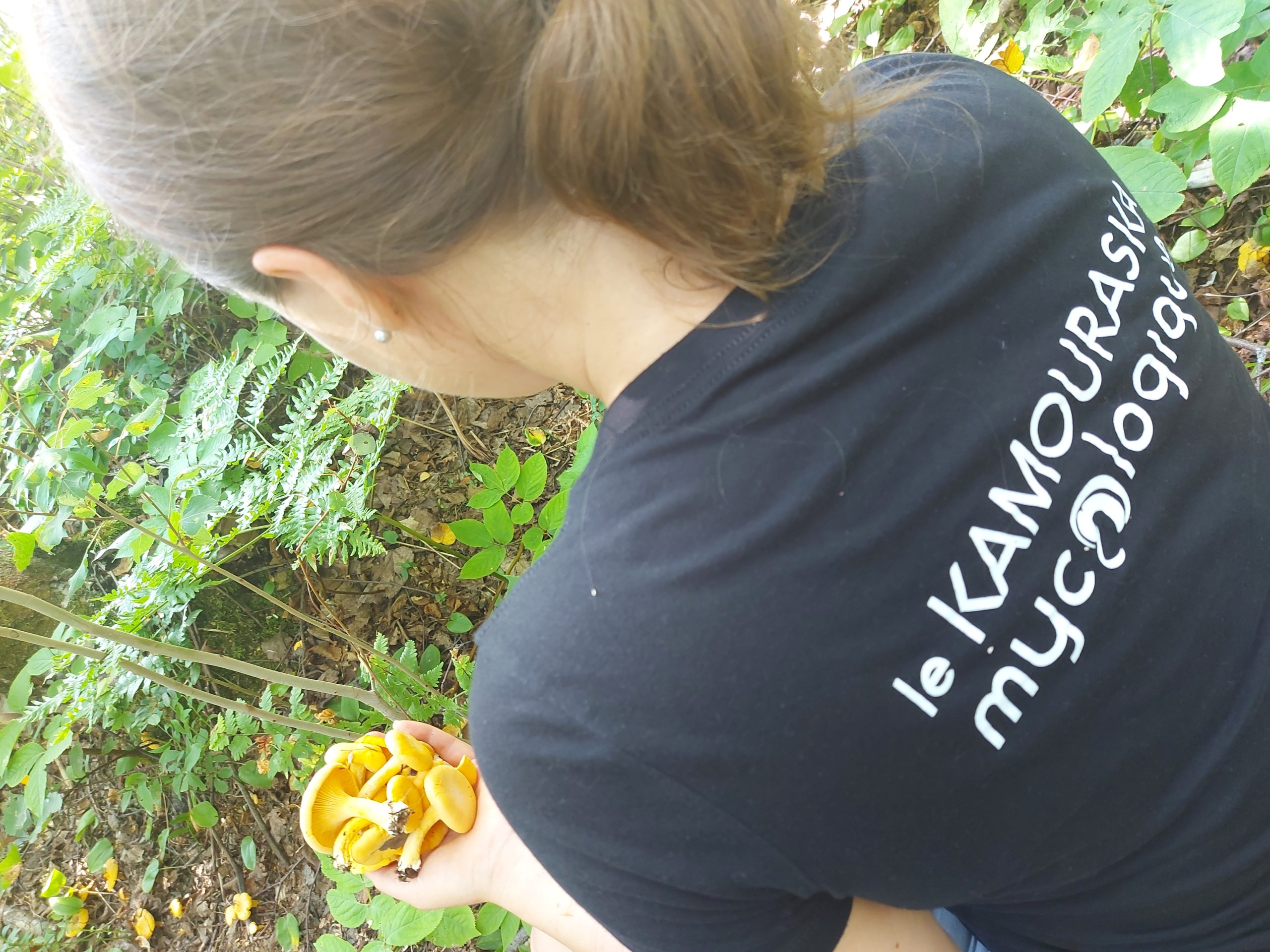Festival des champignons forestiers du Kamouraska