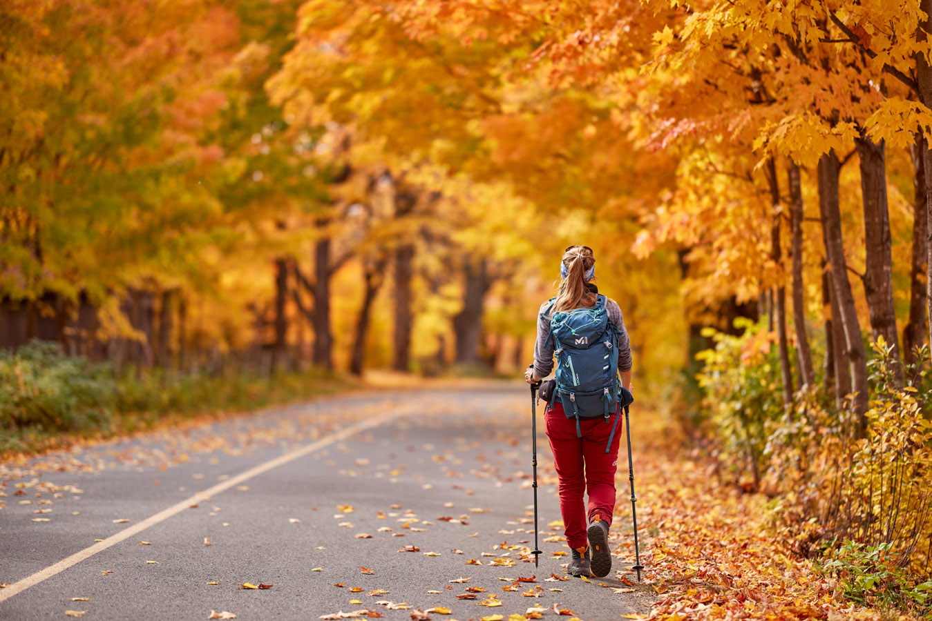 Randonnée en nature dans le Haut Pays de Kamouraska en automne - Crédit photo : Patrick Nadeau