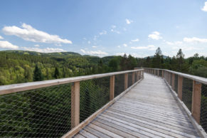 Sentier des cimes Laurentides - Passerelle
