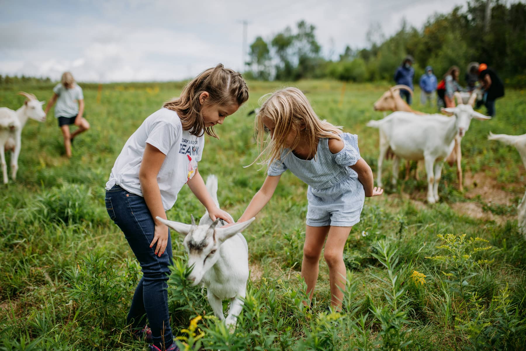 Cassis et Mélisse - Membre du réseau Economusées du Québec - Photo : Stéphanie Allard