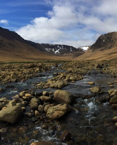 Manteau terrestres au Gros Morne National Park - Photo Mario Garcia, CC BY-SA 4.0 via Wikimedia Commons