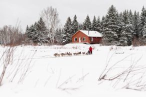 Traineau à chiens - Chalets Villégiature et Pourvoirie Daaquam - Photo Tiziano Tellatin