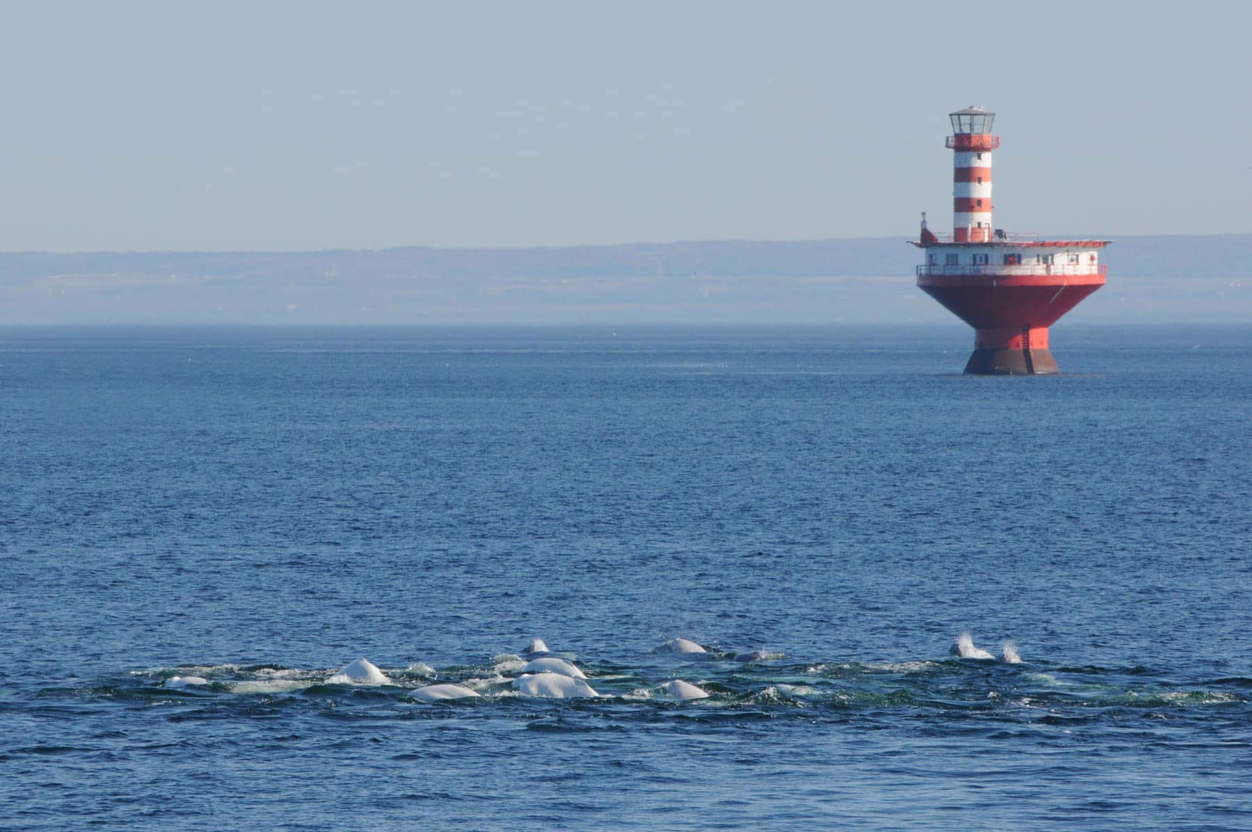 Phare du haut-fond Prince (la "Toupie") à l'entrée du fjord du Saguenay - A voir lors de vos vacances dans Charlevoix - Photo Renaud Pintiaux
