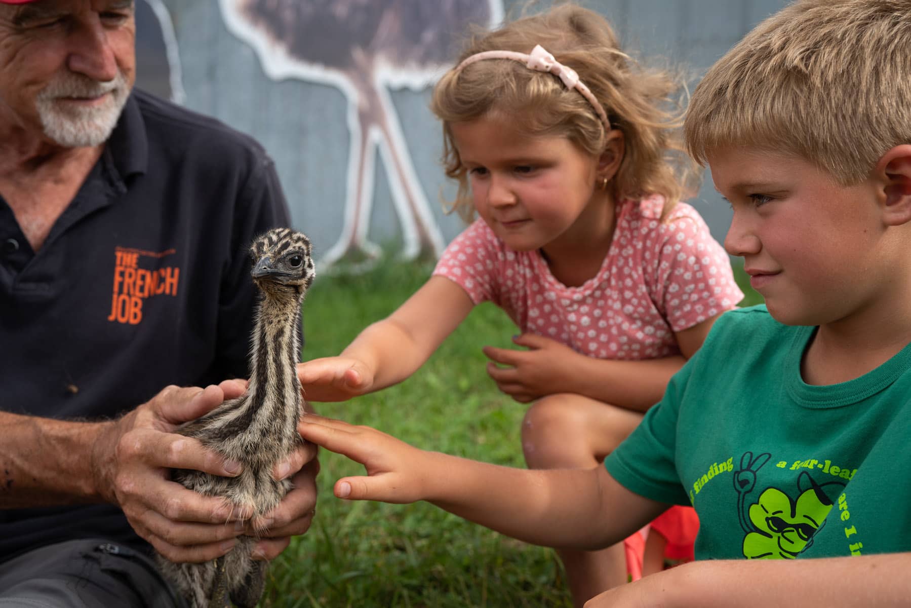 Activité été Charlevoix en famille : Centre de l'émeu - Photo Tourisme Charlevoix