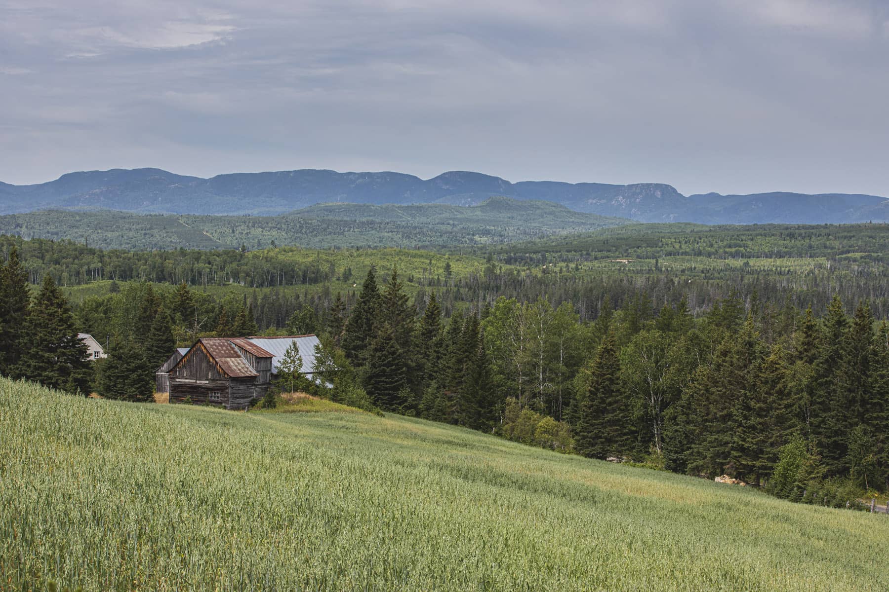 SEcteur des Montagnes : des gîtes magnifiques en Charlevoix - Photo André-Olivier Lyra