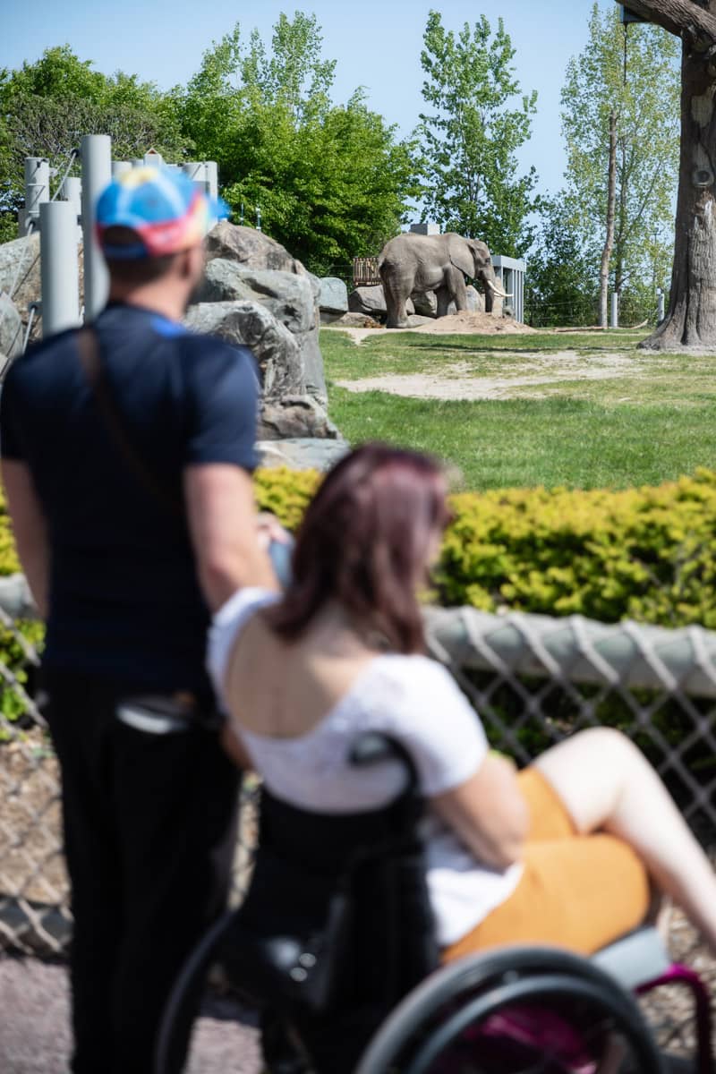 Zoo de Granby - Voyage PMR au Québec - Récit d'une visite des Cantons-de-l'Est en fauteuil roulant par Daphnée Gagnage - Photo Harmony Le Reste et Pierre Akkaoui