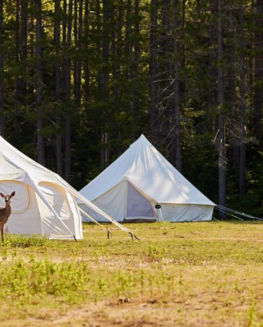 La magie d'un hébergement en pleine nature - Hôtel UNIQ @ Savitri Bastiani