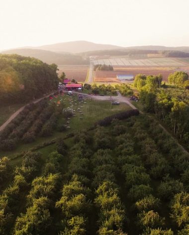 Labonté de la Pomme - Oka - Laurentides