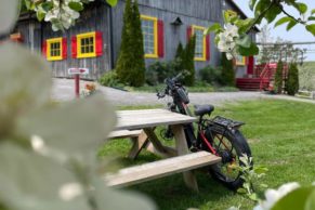 Arrêt gourmand à vélo à Labonté de la Pomme - Oka - Laurentides