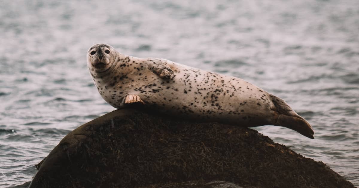 Jours 5-7 - "L'été indien" au Québec - Road-trip automne au Québec : Bas-Saint-Laurent - Photo Worldelse