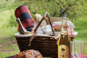 Pique nique en famille à Labonté de la Pomme - Oka - Laurentides