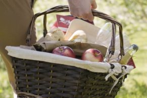 Pique nique en famille à Labonté de la Pomme - Oka - Laurentides