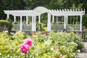 StoneHaven Le Manoir - Jardin