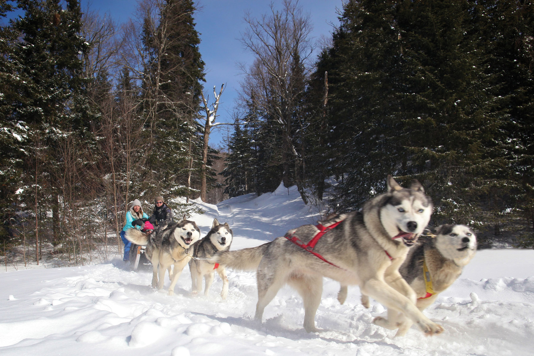 Vacances d'hiver au Québec dans les Laurentides - Photo Tourisme Laurentides