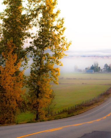 Conduire au Québec - Route brumeuse en automne - Photo mondord