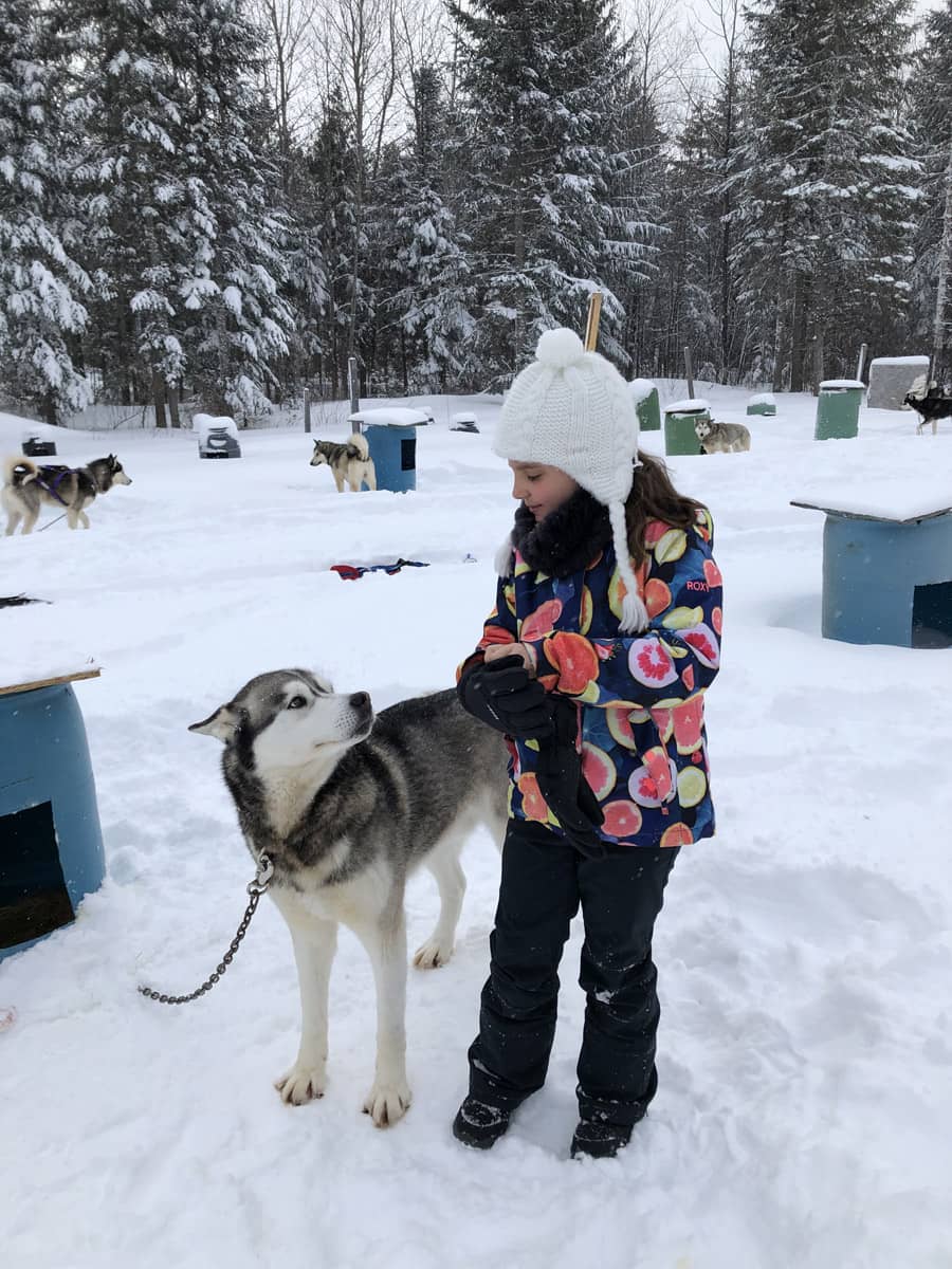 Visiter Québec en hiver - Traineau à chiens - Photo Québec Le Mag'