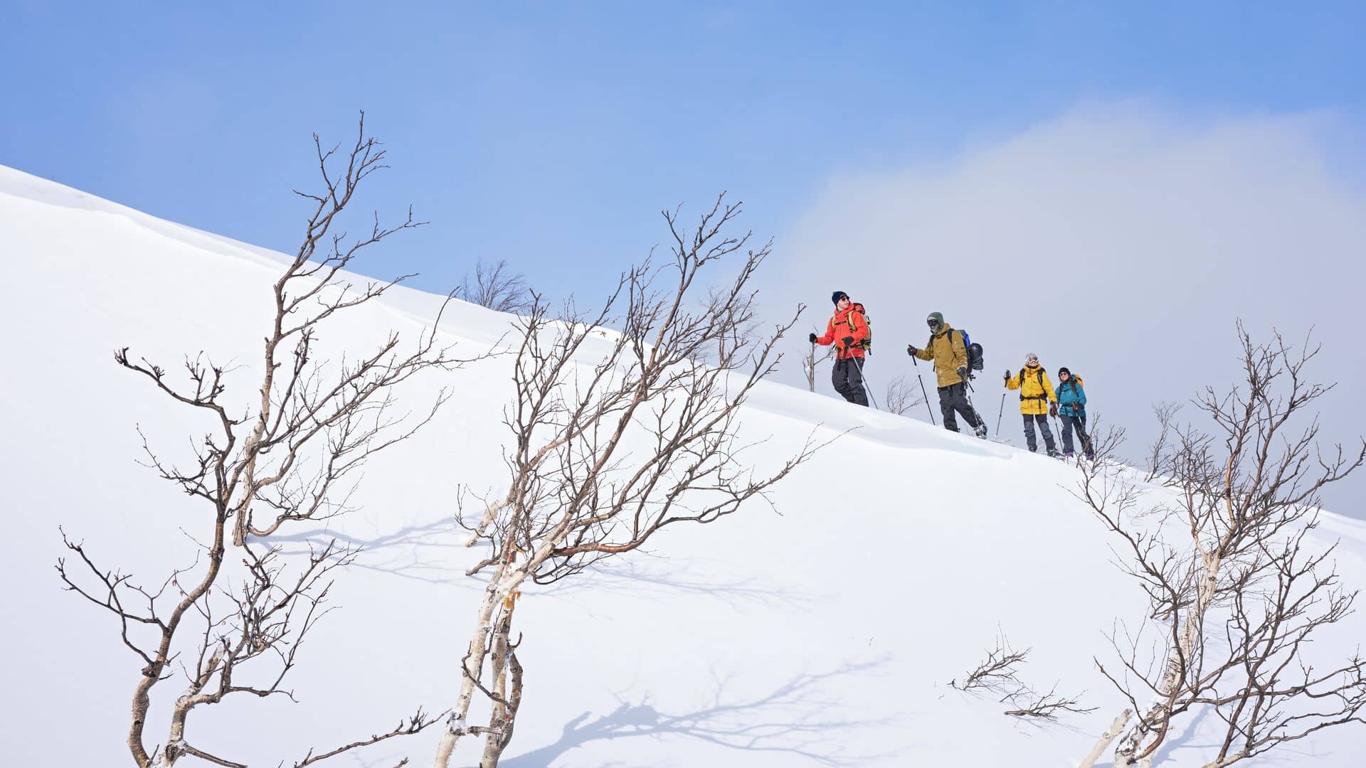 Monts Chic Choc Gaspésie Hiver - Photo : Destination Canada