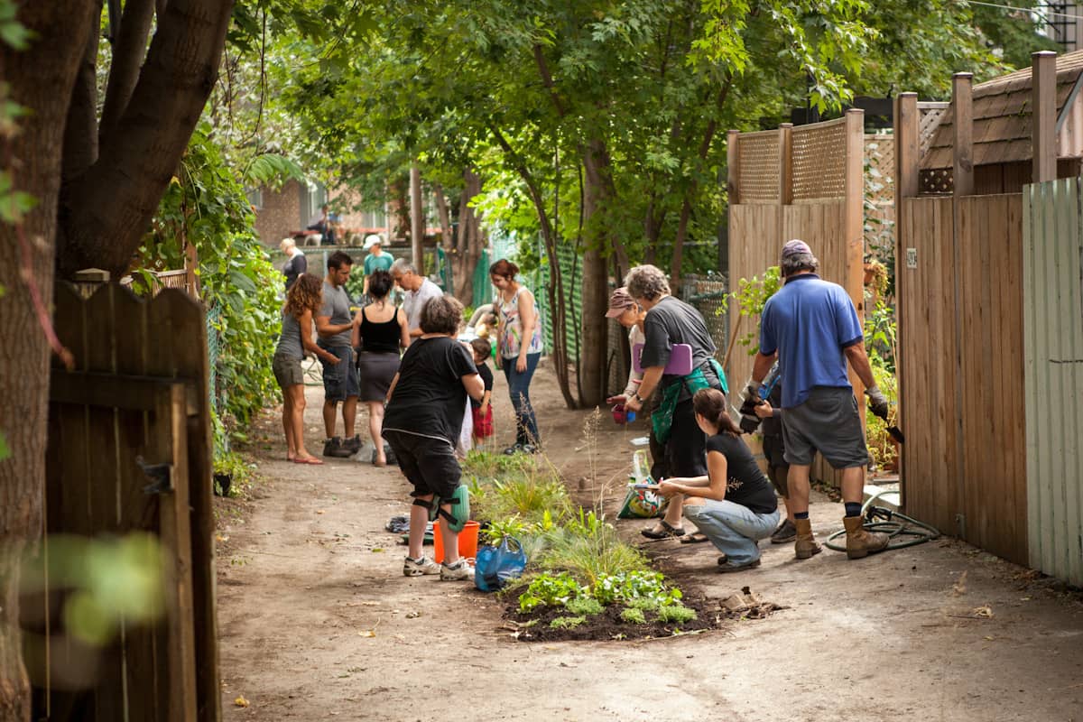 Les ruelles vertes de Montréal - Photo Éco-quartiers Montréal
