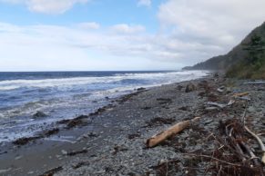 Vue de la plage du Domaine Tourelle sur Mer en Gaspésie