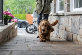 Photo Petit Manoir Casino