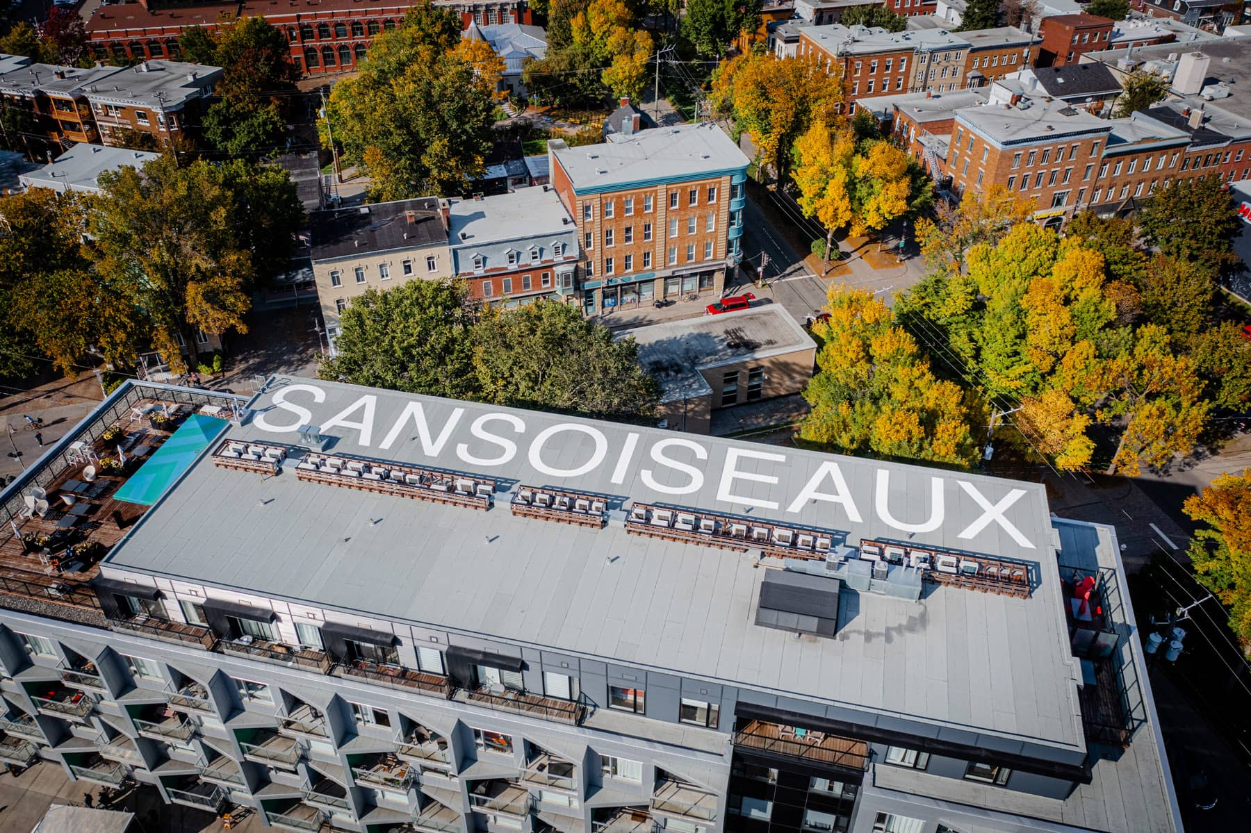 Biennale de Québec 2024 - Abbas Akhavan Sans iseaux 2023 - Photo Jean Gaboury