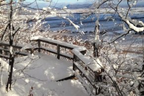 Cidrerie Michel Jodoin - Chemin de randonnée