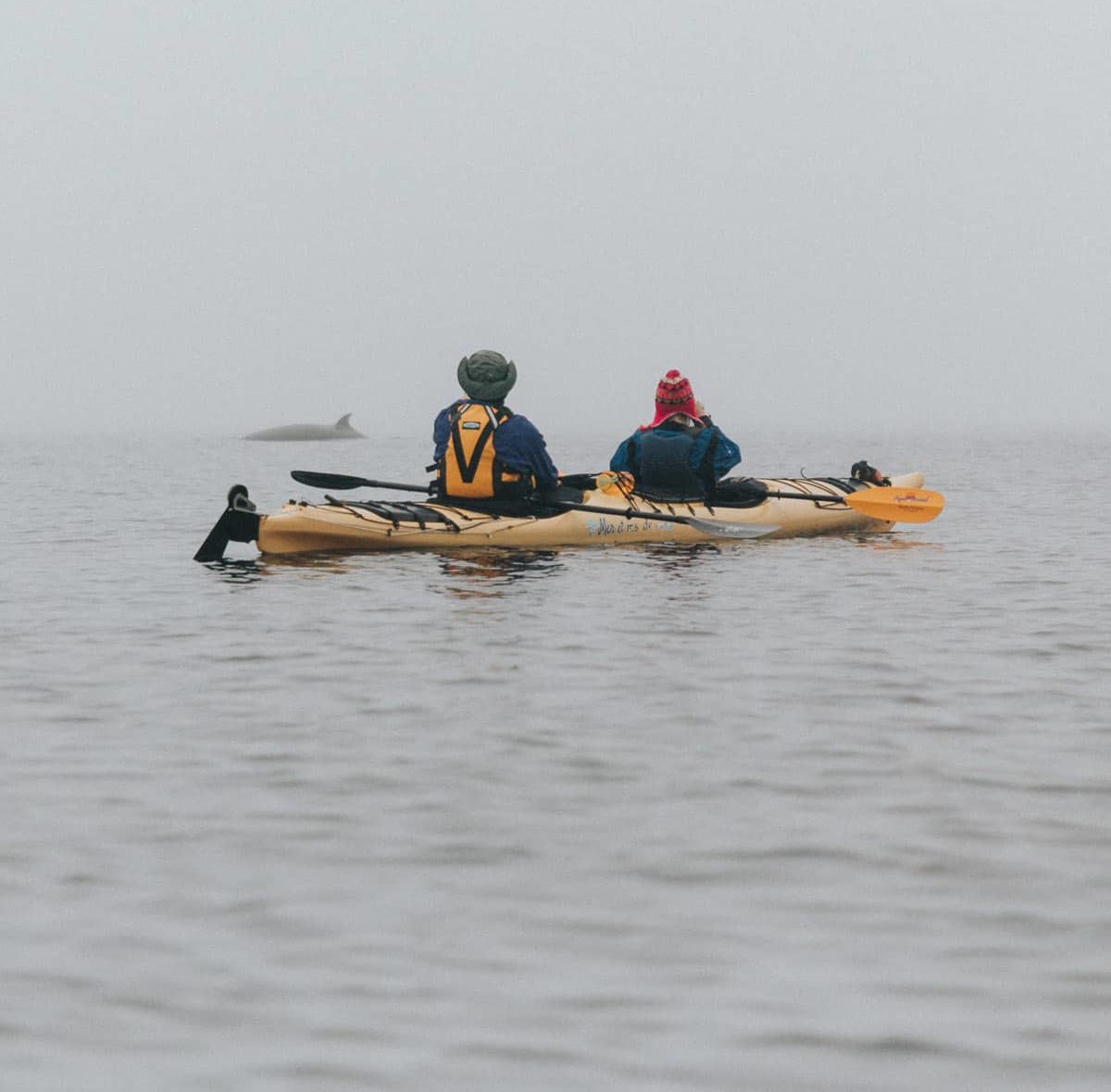 Mer et Monde Ecotour - Crédit : Magalie Massey