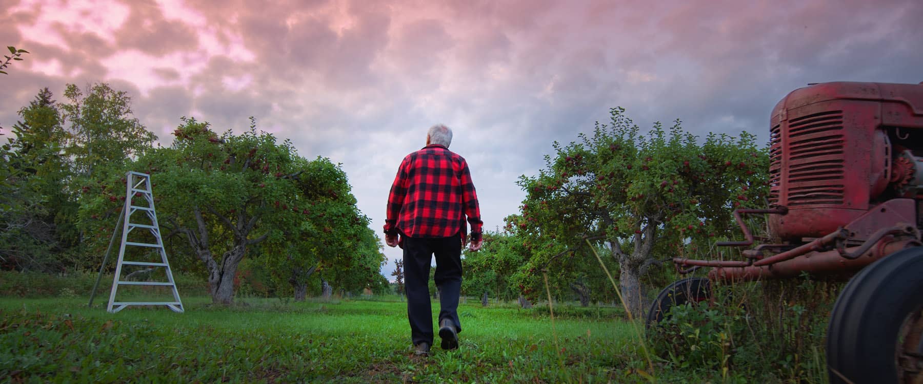 Séjour sur l'Isle aux Coudres (Charlevoix) : Vergers Pedneault - Photo : Movik Inc