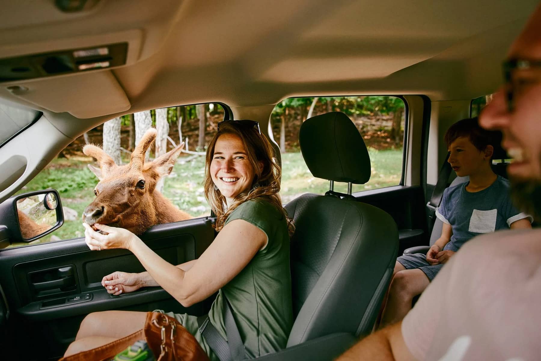 Parc Omega - Photo Myriam Baril-Tessier - Road Trip au Québec sur la Route des Explorateurs