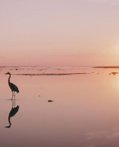 Séjour sur l'Isle aux Coudres (Charlevoix) : Lever de soleil - Photo : Movik Inc