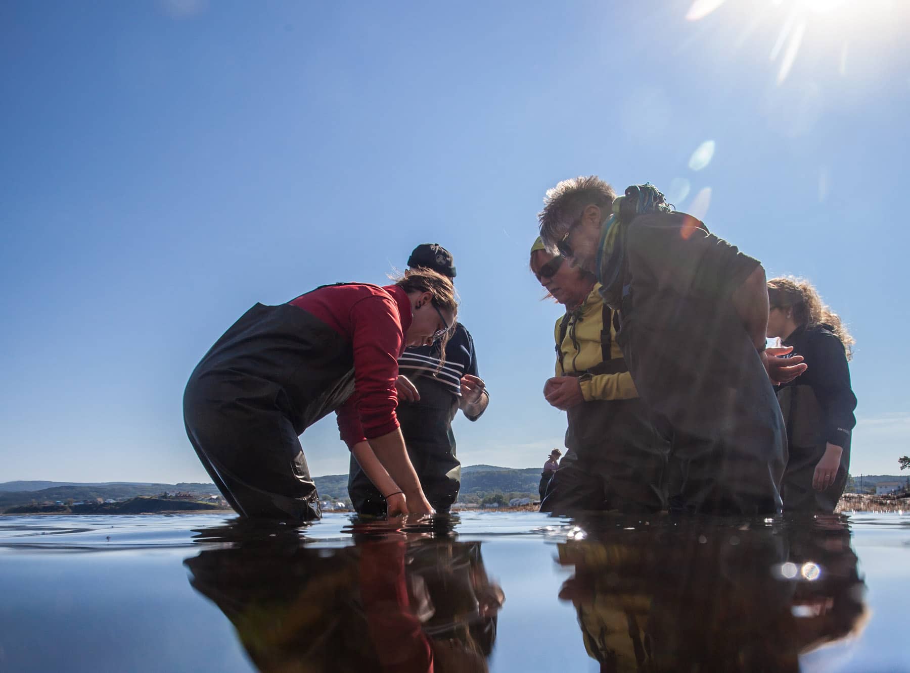 Rencontrer la vraie nature de la Gaspésie - Exploramer - Cueillette de poissons - Photo Bisson
